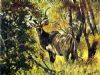 "Camouflaged Coat Kudu"