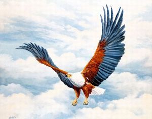 "Returning Home - Fish Eagle"