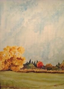 "Who Can Ignore the Maple Tree?"