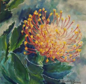 "Pincushion"