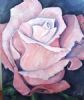 "Soft Pink Rose on Silver"