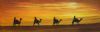 "Camels"