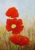 "Poppies"