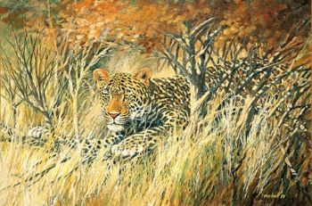 "Autumn Creeps In - Leopard"