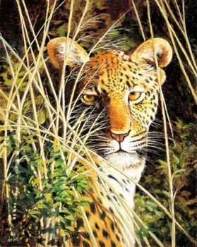 "Savuti leopard"