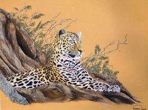 "Leopard in Tree"
