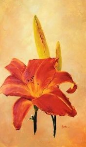 "Orange Day Lilly"