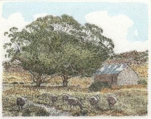 "Stone House- Kliphuis"