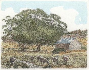 "Stone House- Kliphuis"