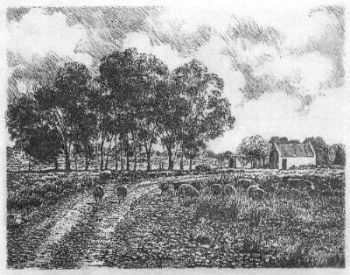 "Landscape with Sheep"