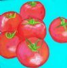 "Teal Tomatoes"