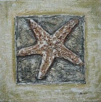 "Star Sea Shell"