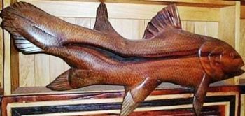 "Magnificent creatures of the deep"