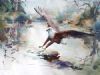 "Flying Fish Eagle"