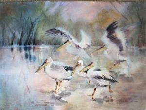 "Misty Pelicans"