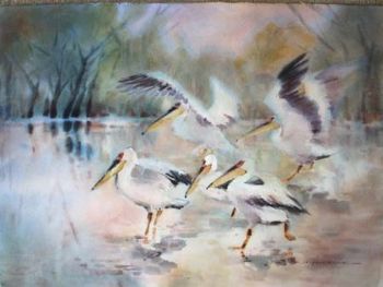 "Misty Pelicans"