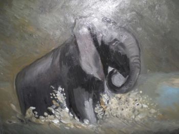 "elephant splash"