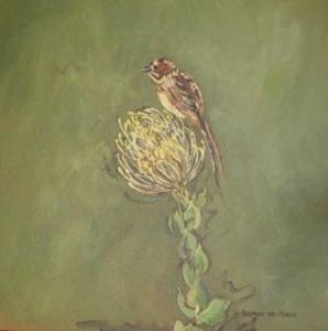 "Fynbos 12, Speldekussing; Grasvoeltj"