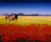 "Poppy Landscape"