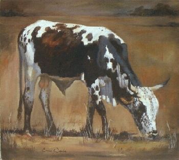 "Nguni 18"