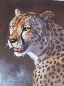 "Cheetah"