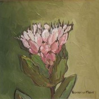 "Fynbos 28, Waterlily sugarbush"