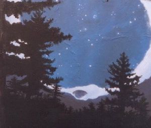 "Forest Night"