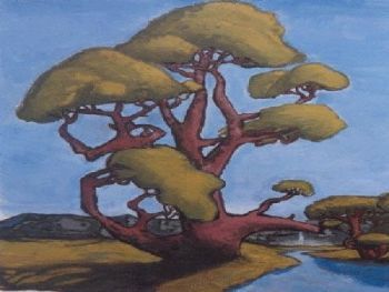 "Oerboom"