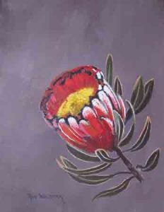 "Protea Compacta"