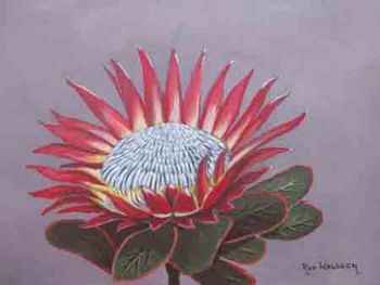 "King Protea - Protea Cynaroides"