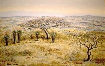 "Mt Alice, Spioenkop Landscape"