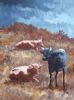 "528 Cows"