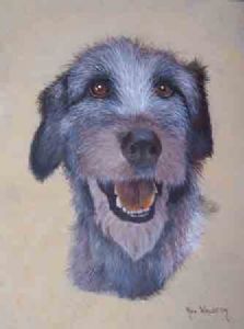 "Irish Wolfhound"