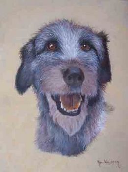 "Irish Wolfhound"