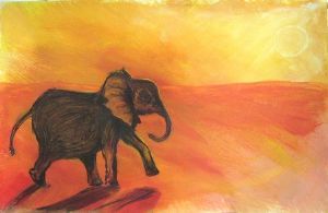 "Baby Elephant"
