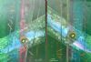 "Transition Diptych"
