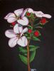 "Flowers"
