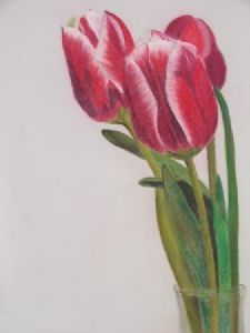 "Tulips - STOLEN"