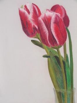"Tulips - STOLEN"