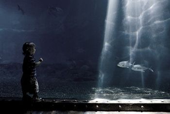 "Small Fish, Big Pond"