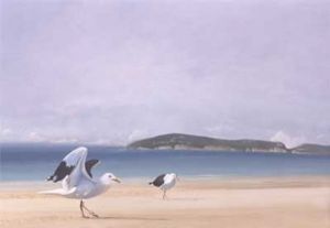 "Seagull at the Roberg"