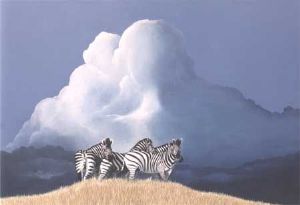 "Coming Storm"