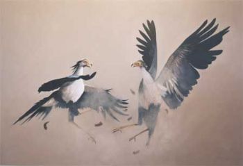 "Secretary Birds"