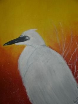 "Egret"