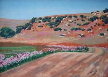 "Hill in Warden District"