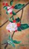 "Apple blossoms"