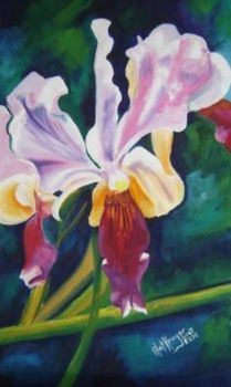 "Vanda Flower - Orchid"