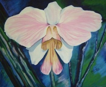"Orchid - Vanda Teres"