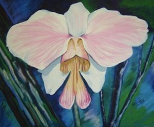 "Orchid - Vanda Teres"