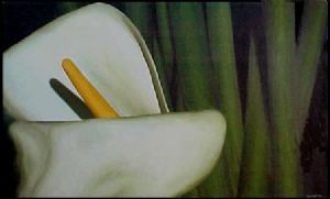 "Lily III"